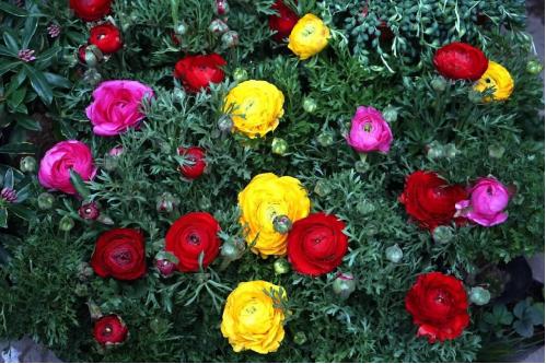 �]�r�gȥ̤��?һ��ȥ���и�����Ȼ