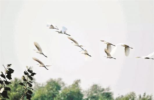 ������Т������ ���B���C��̎20���꣨�D��