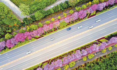 ����߅����·