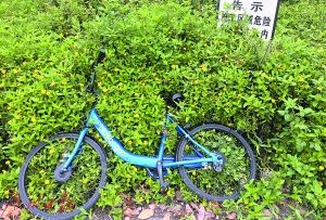 ���ڹ����܇�ѳ�53�f�v