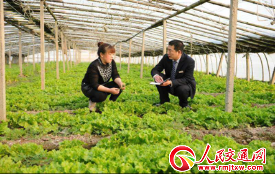 ɽ�������r(n��ng)���y�Ќ�(sh��)ʩ�l(xi��ng)�����d��(zh��n)�����������l(f��)չ