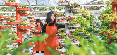 �������Næ �l(xi��ng)��a(ch��n)�I(y��)��