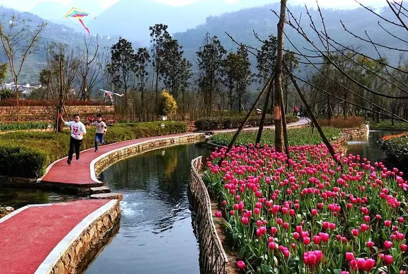 �������_�� ��(ji��n)ֱ��Ҫ̫��