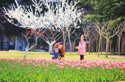 ʮ�f(w��n)����������n����