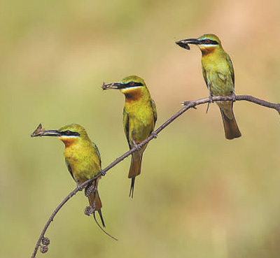 ���o���B(t��i)�h(hu��n)�� ���O�����Ї�