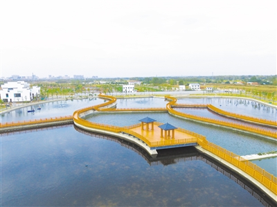 ���Ƴ���ˮ�h(hu��n)��Ҫ��ˮ��Ҫ�ڳ�