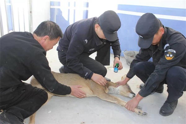 ��(n��i)�ɹ��F��ɭ������ ������(gu��)�Ҷ���(j��)���o(h��)��(d��ng)������