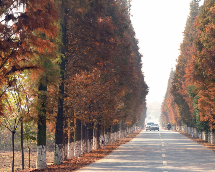 �㽭���A�� 䁺á��ĺá��r(n��ng)��· ����l(xi��ng)�����d��