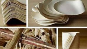 �p��������Ⱦ ��ɫ���аl(f��)�ø��������a(ch��n)ʳƷ���b��