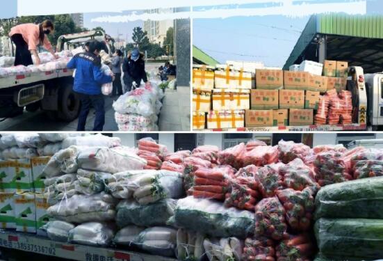 �����F(xi��n)���y��(j��ng)�N�������������