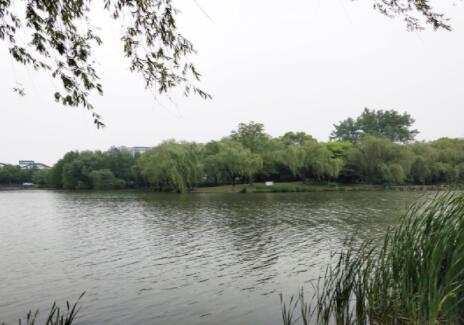 �o���r(n��ng)��������ˮ�����K ������10�|�(xi��ng)Ŀ�������x����