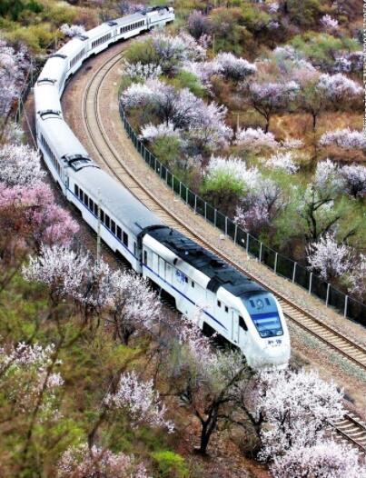 ��(w��)�����У���������܇