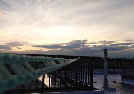 2020�������������������^�l(f��)�� �坍��ů��β���