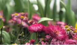 ��δ_��������ȣ�MLSS���������@ƪ������Ͷ�����