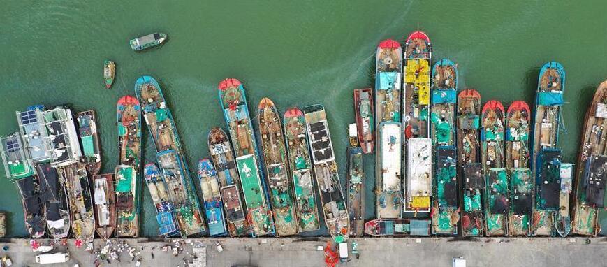 �����w���~�M�}