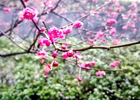 �h(hu��n)�l(w��i)�U(ku��)������һ�������@�־G���B(y��ng)�o(h��)���Ј�(ch��ng)�����з�