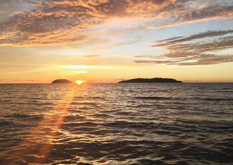 �����ĭh(hu��n)�����X�M�����f ������Λ_�Ƴ��L�컨��