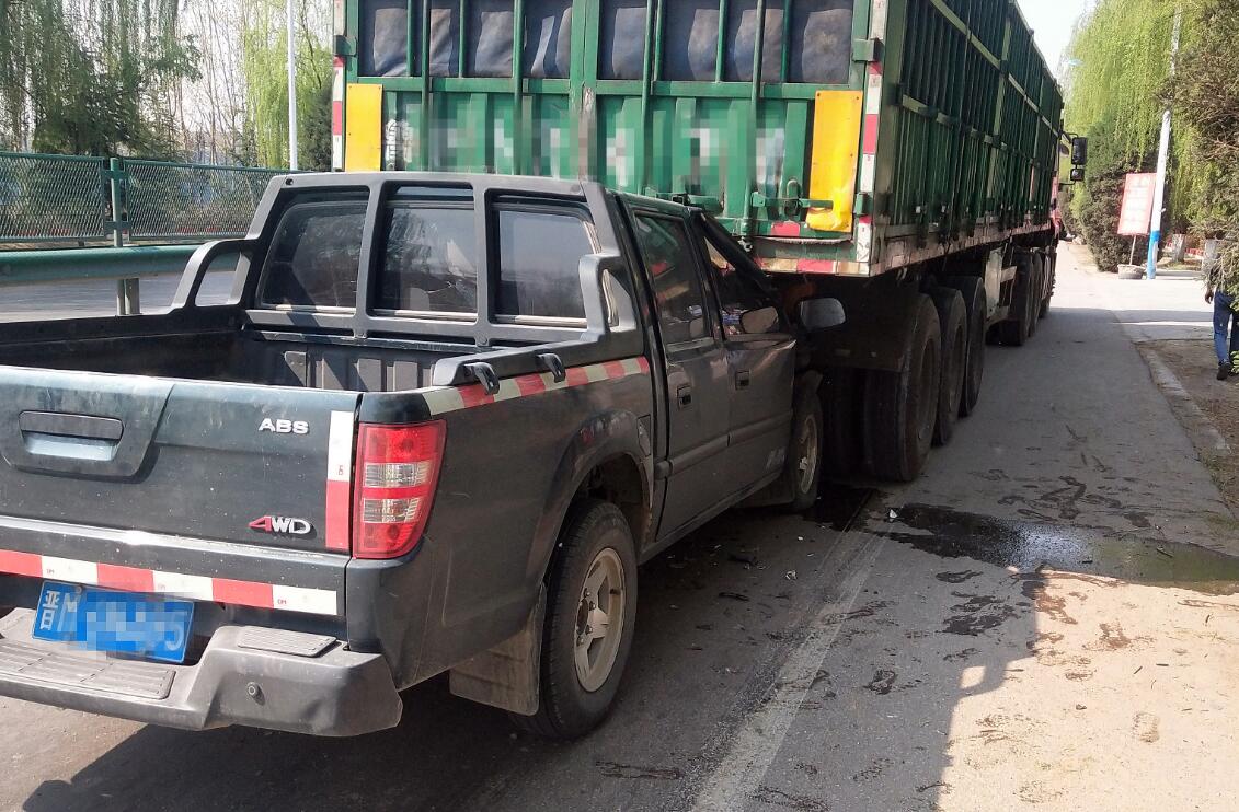 ɽ���R⢣��{�T��������(d��ng) Ƥ��܇�@�M(j��n)��؛܇β��