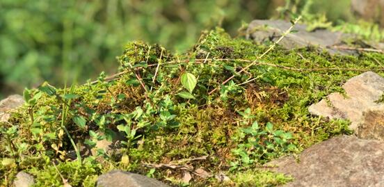 ����֮�� ��μӏ��t(y��)����ˮ�ͳ��(zh��n)��ˮ�ıO(ji��n)�ܣ�