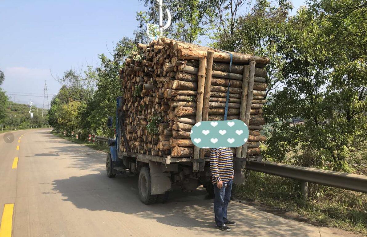 �����R�佻����̎һ���r(n��ng)��܇���d��