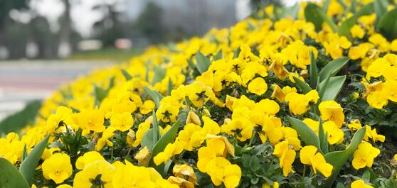 ���ϡ�������١�֮·����߀�܈D�ك|�t(y��)�U̎���Ј�(ch��ng)ʲô