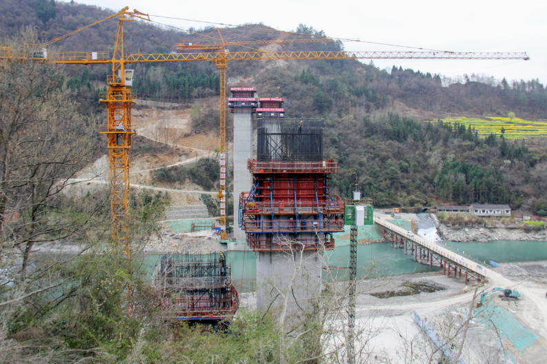 �Ĵ��Vƽ�����Ŀ��߶ա�����ƺ�����ش��17̖����������