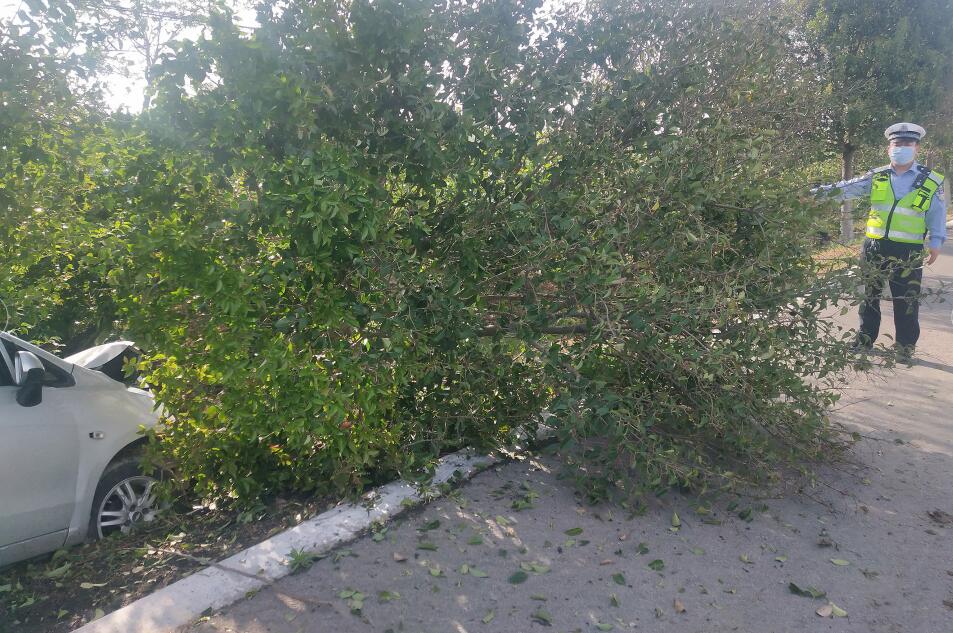 ɽ���R⢣�˾�C(j��)����ԡ� ײ���е���