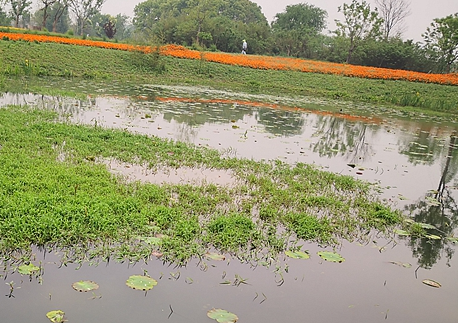 700��������ҹҹ �ك|�L�����o�Ŀ�Mչ�����