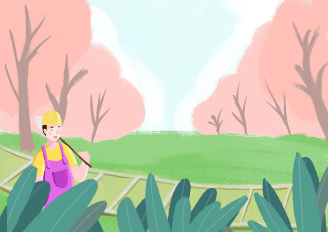 ����(m��ng)���꾩������������A��