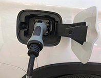 2020��늳������״��»� �L��ǰ����Ȼ���^