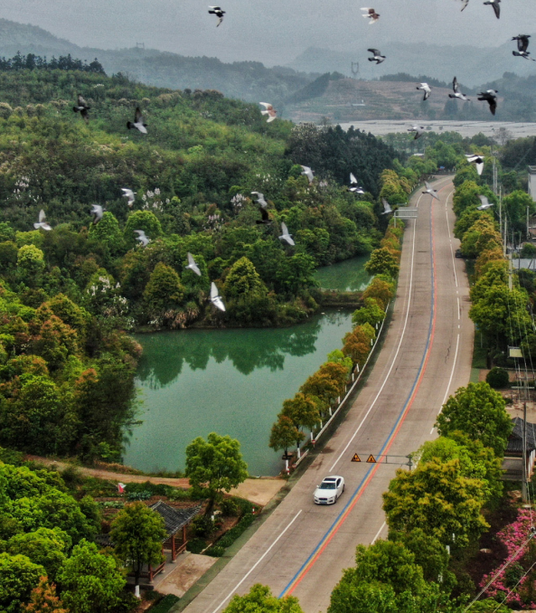 �ġ����y(t��ng)�������򡰬F���������D׃