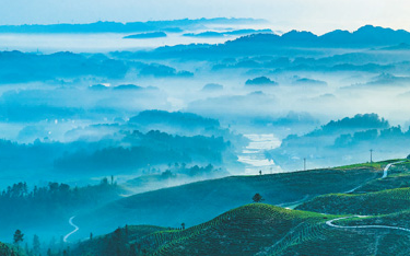 ��������_���r��