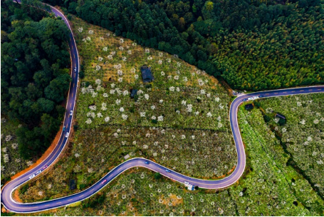 �ӏ��ИI(y��)�����wϵ�����������F�������O