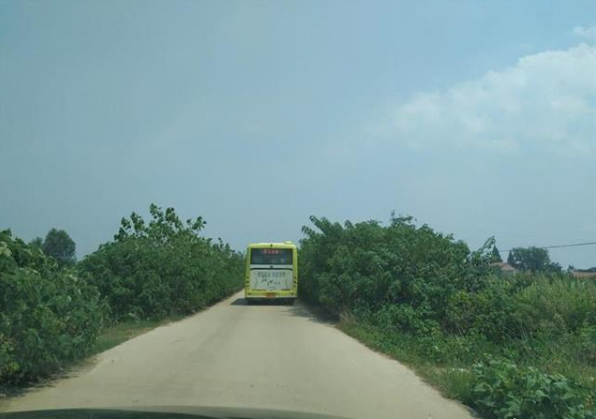 �l(xi��ng)�幫·�Mխ��܇ͨ�в�������ͨ�ַQ��Ҏ(gu��)�����O(sh��)���l��·����