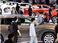 �����f(xi��)��8����Ѯ11�����c܇��a(ch��n)�N�h(hu��n)���p��