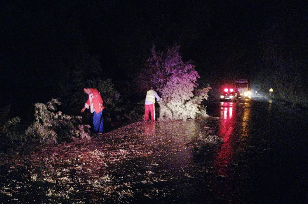 �½�ɳ����·�־֣�ð����·�� ��(ji��n)�ֱ���ͨ