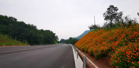 �f���ڴ������e�Ѓɗl���ٹ�·ͨ܇�ڼ�