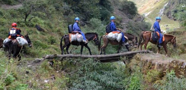 ���R���ϵ�����\�S�T������Խ�o�˅^(q��)���o�f�ҟ���