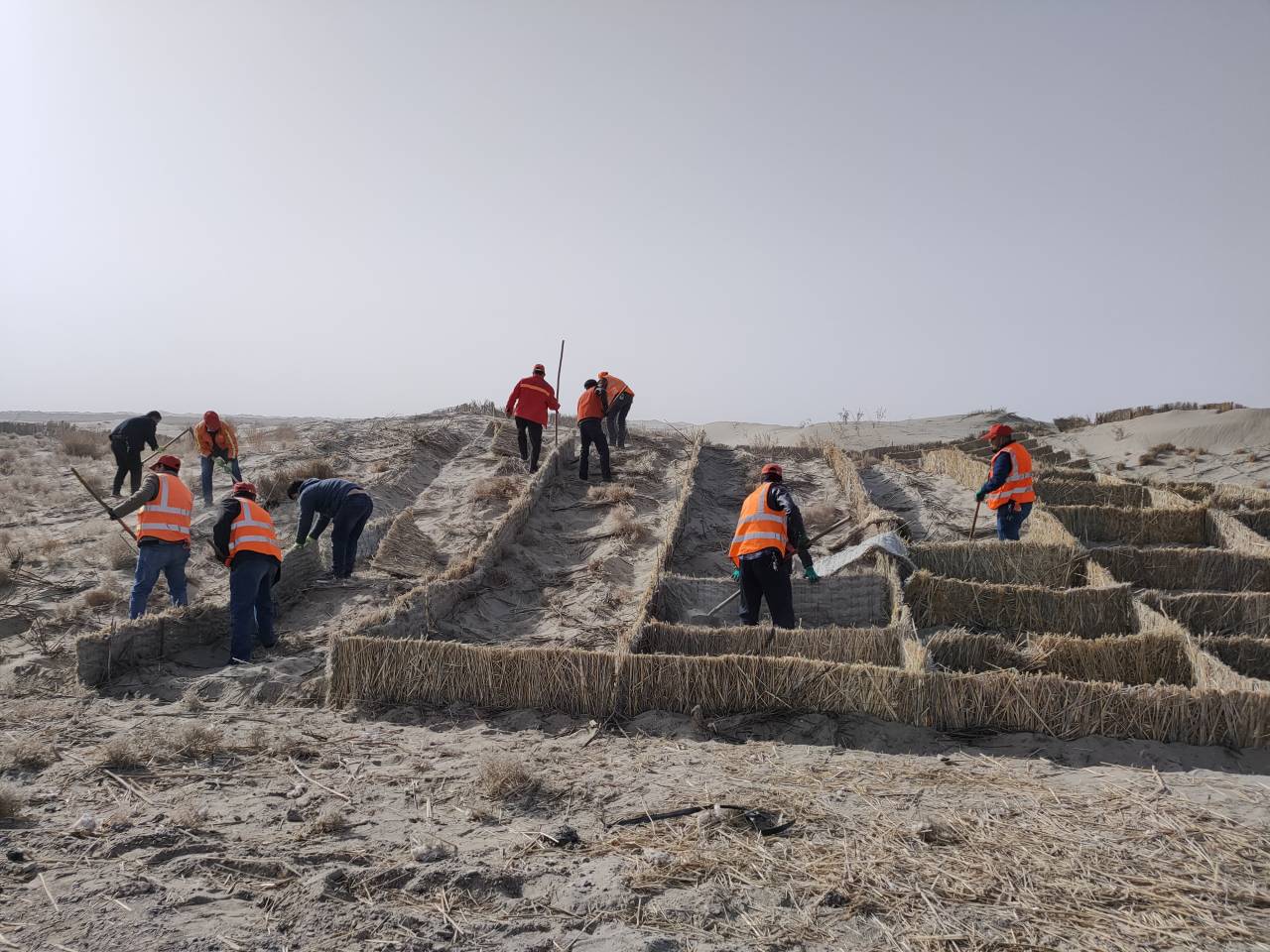 ��ʲ��·���������w��־ִ�����·�B(y��ng)�o(h��)ȫ��չ�_