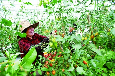 �l(xi��ng)�����d���r(n��ng)�I(y��)����(qi��ng)���r(n��ng)��������r(n��ng)�����