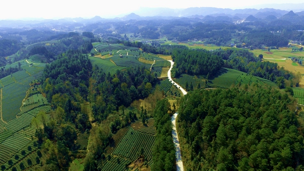 �F����̶�h���¸��С������a(ch��n)�I(y��)�d