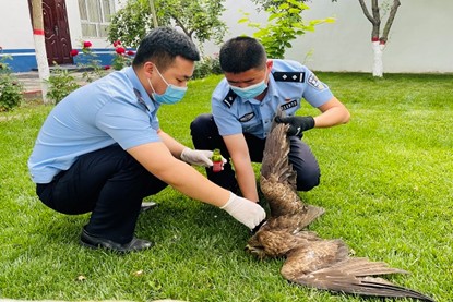 ����Ұ���������������C��Ȼ