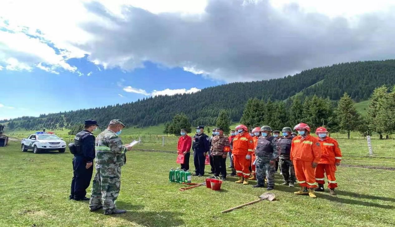 �_չɭ�ַ������������{�����Є�