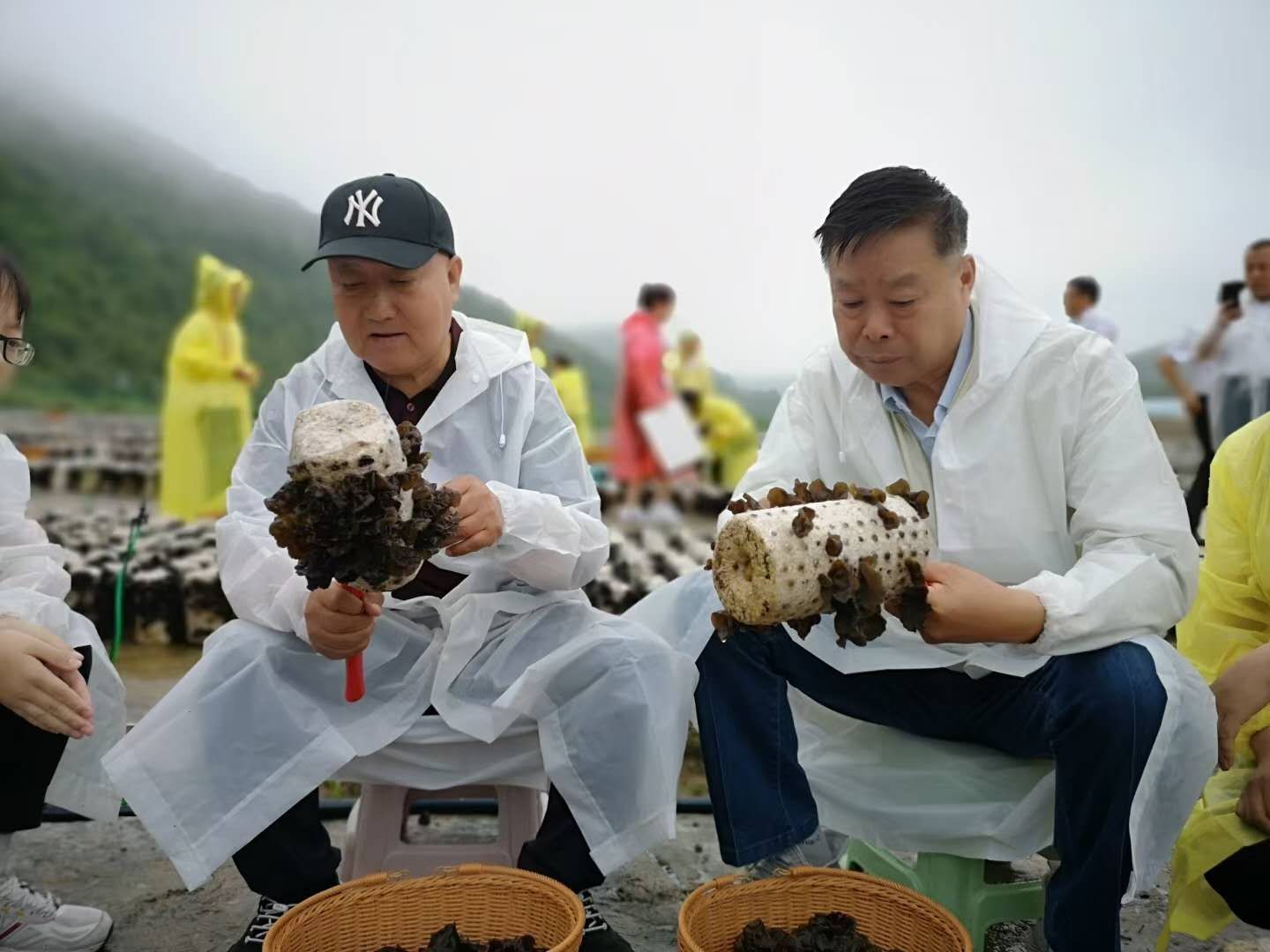 �˲�����Сľ���څ�������ѽ�(j��ng)�����˴�a(ch��n)�I(y��)!