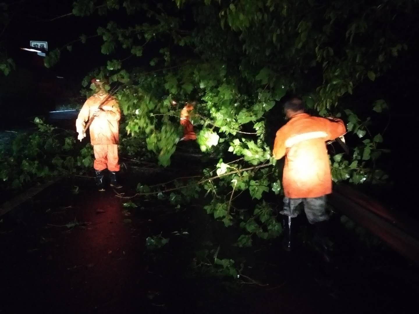 ��ʮ������һ�գ�����ƽ�������@؟(z��)���c��(d��n)��(d��ng)