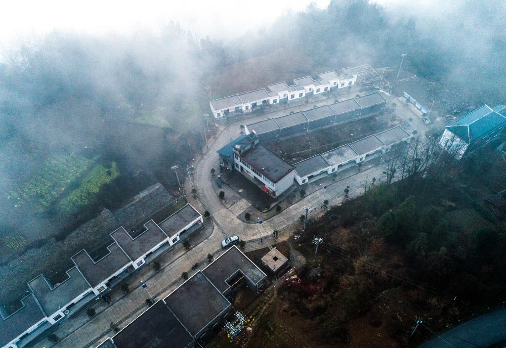 ���ĺ��r(n��ng)��·�����Ƅ�(d��ng)�l(xi��ng)�����d�ġ�����·��